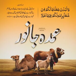 قربانی کے فضائل عشرہ ذی الحجہ کے فضائل